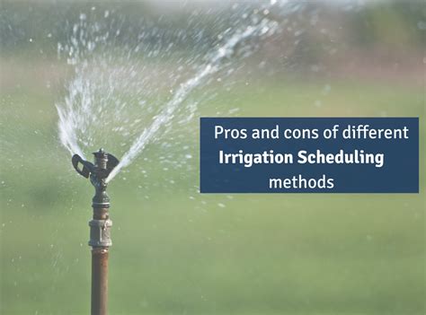 The Pros And Cons Of Different Irrigation Scheduling Methods