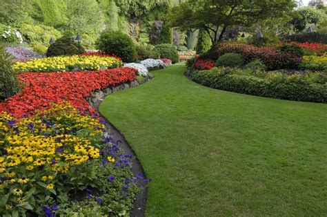 Elevate Your Lawn With These Summer Landscaping Tips