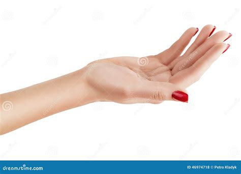 Female Hand Palm Up Stock Photo Image 46974718