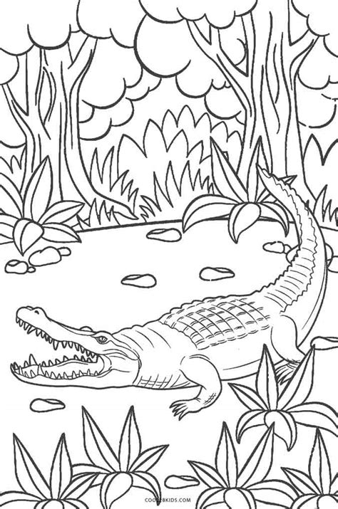 printable alligator coloring pages  kids