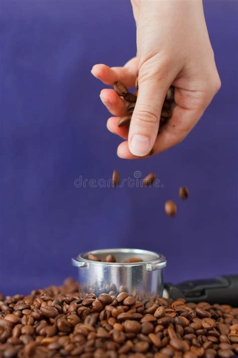 Female Hand Pouring The Coffee Beans Into The Coffee Tamper On The
