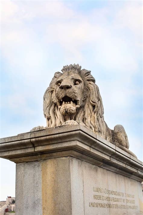 Close Up Lion Statue At The Chain Bridge Budapest Hungary Stock Photo