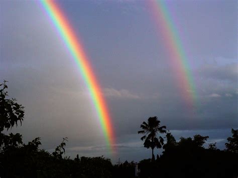 Nature Double Rainbow Background Wallpapers Digital