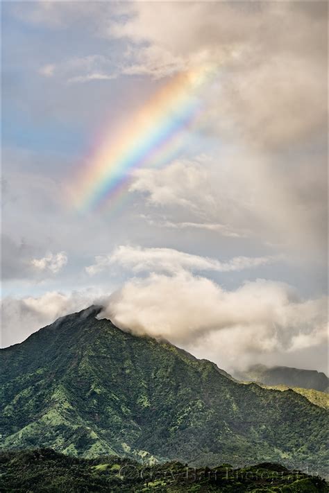 Hawaii Eloquent Nature By Gary Hart