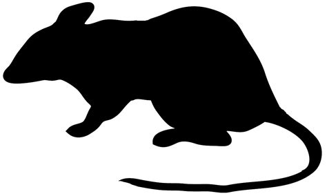 Free Black Rat Cliparts Download Free Clip Art Free Clip Art On