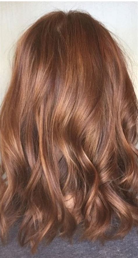 Auburn Coppertone Fall Hair Color In 2019 Hair Color Auburn Brown