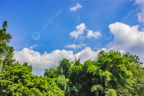 시골 숲 푸 른 하늘 흰 구름 푸른 하늘과 흰 구름 바 이윤 파란 하늘 배경 일러스트 및 사진 무료 다운로드 Pngtree