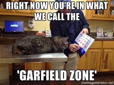 I Saw The Cat At The Vet Picture And Couldnt Resist Meme Guy