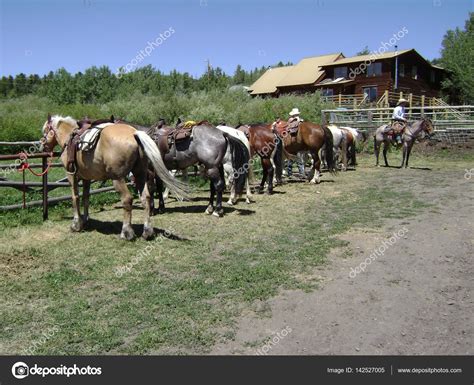 Horse Ranch Horses Stock Photo By ©dtiberio 142527005