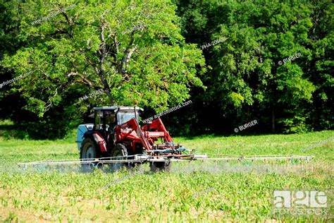 Farmer Spraying Chemicals On Corn Fields This Farmer Uses Sustainable