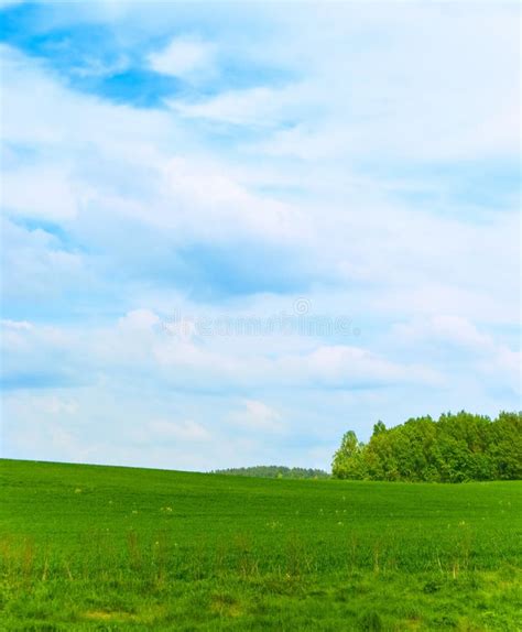 European Landscape Stock Photo Image Of Plain Environment 16147608