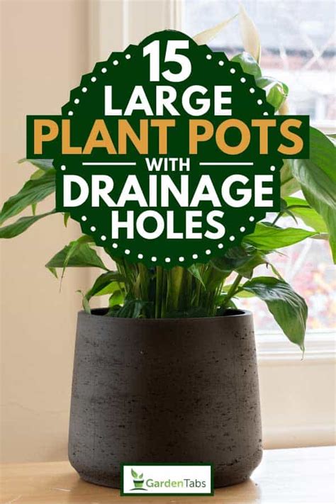 What To Use In Pots For Drainage Best Drain Photos Primagemorg