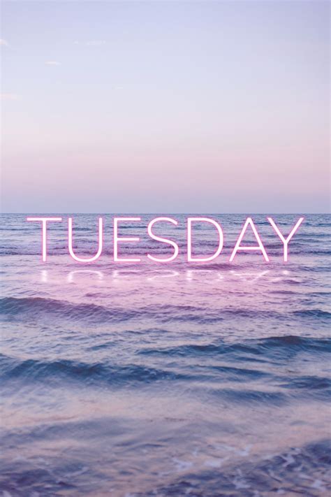 Tuesday Word Pink Neon Typography Free Image By Neon