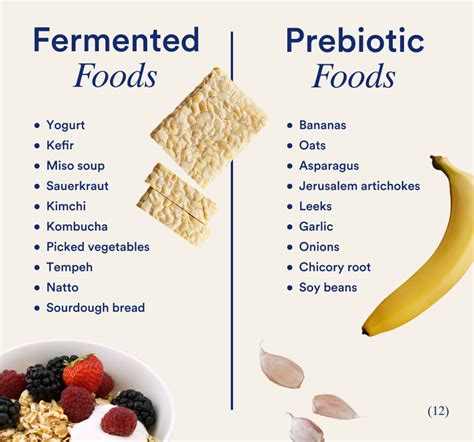 probiotics vs prebiotics what you need to know for gut health your hot sex picture