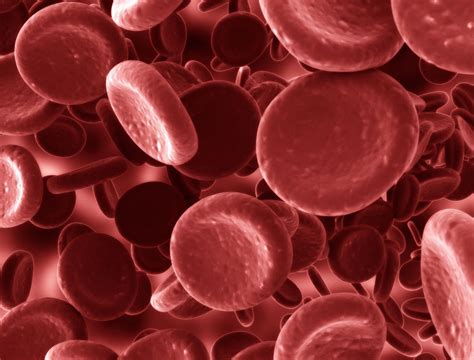 Anemia Causes Symptoms And Treatment Live Science