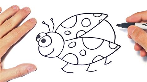 How To Draw A Ladybug Step By Step Ladybug Drawing Lesson