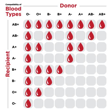 Blood Type Chart Brandsapo