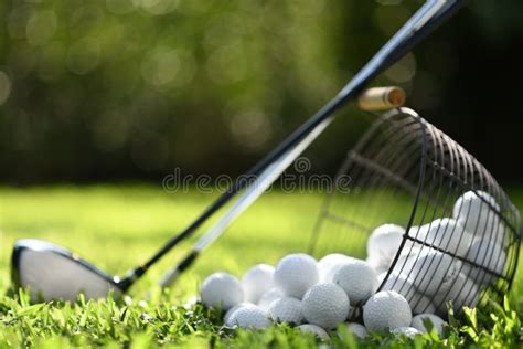 Golf Balls Stock Photo Image Of Leisure Play Sport 11635736