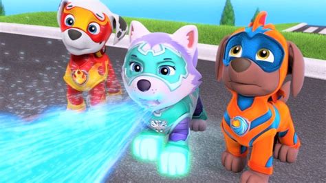 Paw Patrol Paw Patrol Full Episodes Animation Movies For Kids Youtube