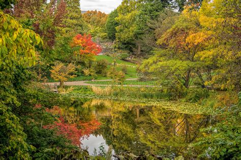 Beautiful Autumn Scenery Stock Image Image Of Fall Lake 61245833