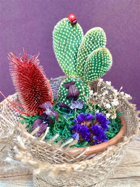 Housewarming T Burlap Cactus T Decorated T For Etsy