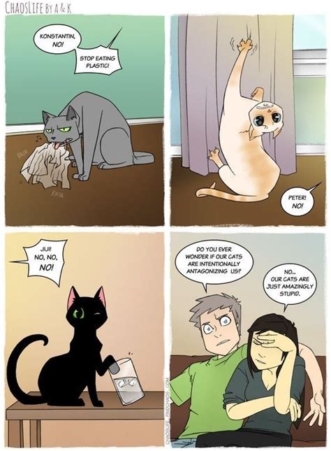 16 Adorable And Funny Cats Comics Get You Through The Day Cat Comics