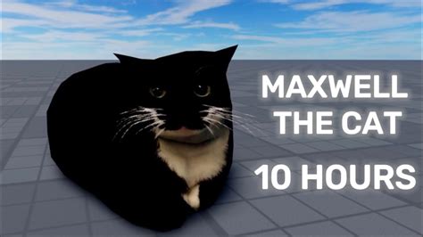 Maxwell The Cat Theme Hours Youtube