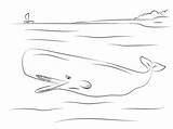 Whale Coloring Pages Cute Sperm Printable sketch template