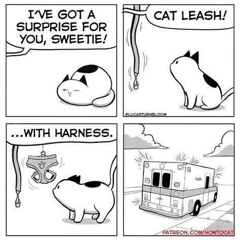 92 Adorable And Hilarious “how To Cat” Comics
