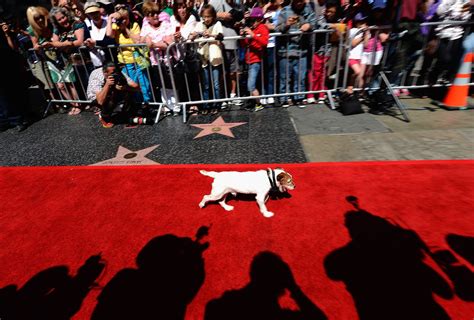 Hotly Anticipated Hollywood Red Carpets To Look Differently In Future