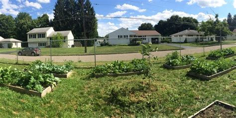 Cornell Cooperative Extension Community Gardens In Chemung County