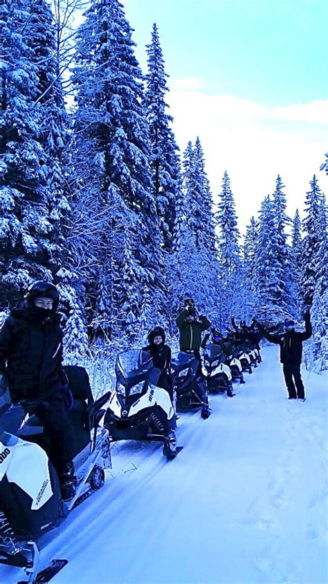 2 Hour Half Day Snowmobile Tour In Golden Try Out A New Winter