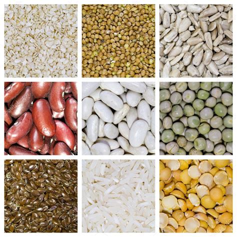 Cereal Grains Collage Stock Photo By ©redpixel 1723066