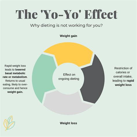 Science Behind The Yo Yo Effect Four Seasons Dietetics