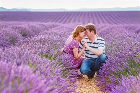 Romantic Couple In Love In Lavender Fields In Provence France
