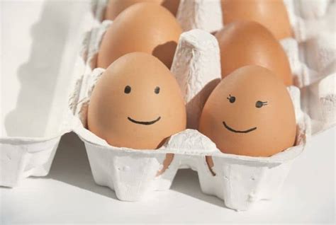 Are Egg Cartons Recyclable And Uses Of Old Egg Cartons Conserve