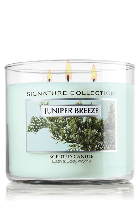 Use these or your favorite song lyrics to inspire your own christmas card message this year. CHRISTMAS PLZZZ. I love this scent and you can usually ...