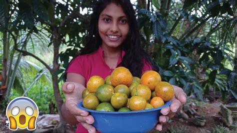 Lunu Dehi How To Make Sri Lankan Lime Picklehow To Prepare Lime Pickle