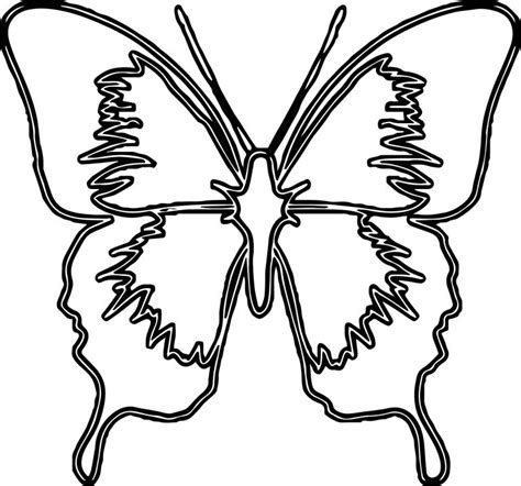 Blue Butterfly Medium Coloring Page