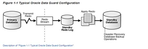 ORACLE Introduction To Oracle Data Guard KTEXPERTS