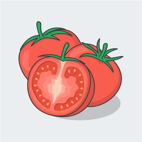 Premium Vector Slice And Whole Of Tomato Cartoon Vector Illustration