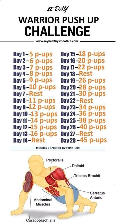 Pushup Workouts Push Up Workout Benefits Abs Workout Abs Workout