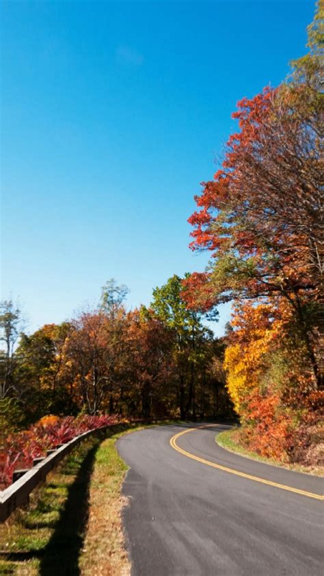 Unbelievable Fall Foliage Road Trips To Take In The South Fall