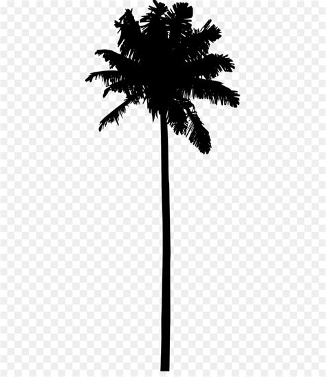 Portable Network Graphics Clip Art Silhouette Palm Trees Vector