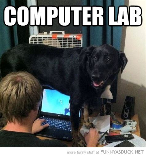 Why did adele cross the road? A real computer Lab. | Puns | Pinterest | Funny computer ...