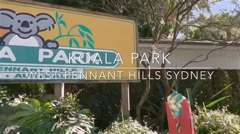 The Koala Park Sanctuary Sydney Youtube