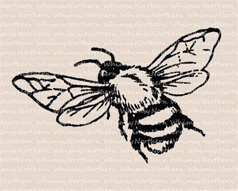 Bee Clip Art Vintage Bumble Bee Image Bee Illustration