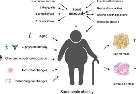 Frontiers Food Insecurity As A Risk Factor Of Sarcopenic Obesity In