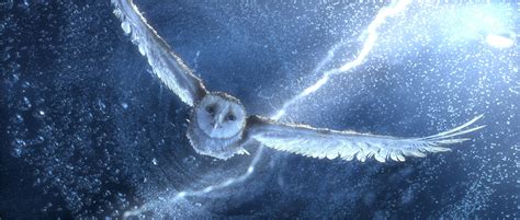 Wallpaper Owl Flying Snow Storm Lightning Blue Bird Art Animals