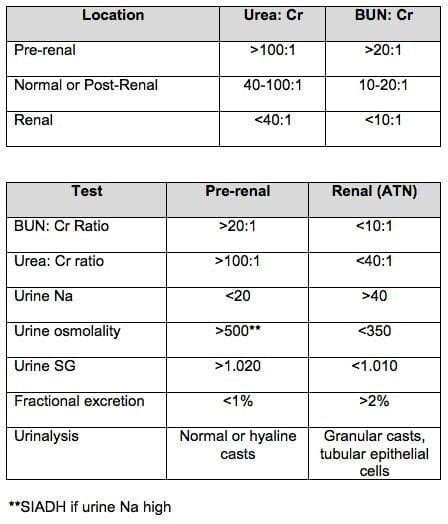 Urea Creatinine Ratio Litfl Ccc Ddx